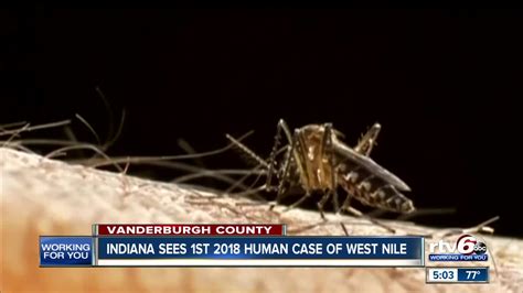 First case of West Nile virus found in Santa Clara County